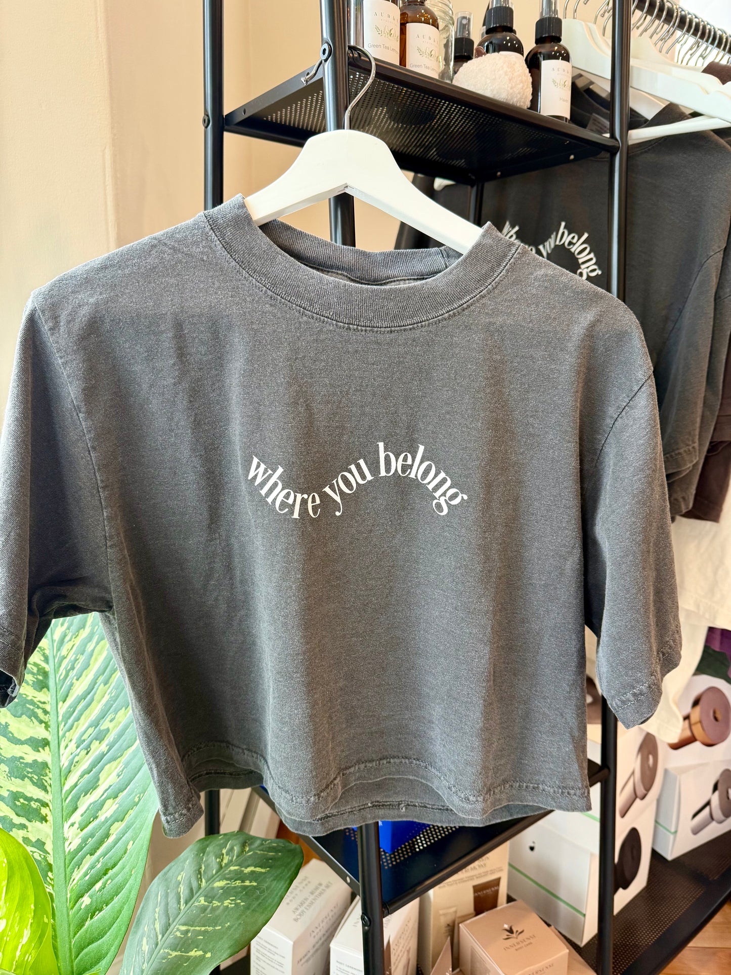 Haven Crop Tee