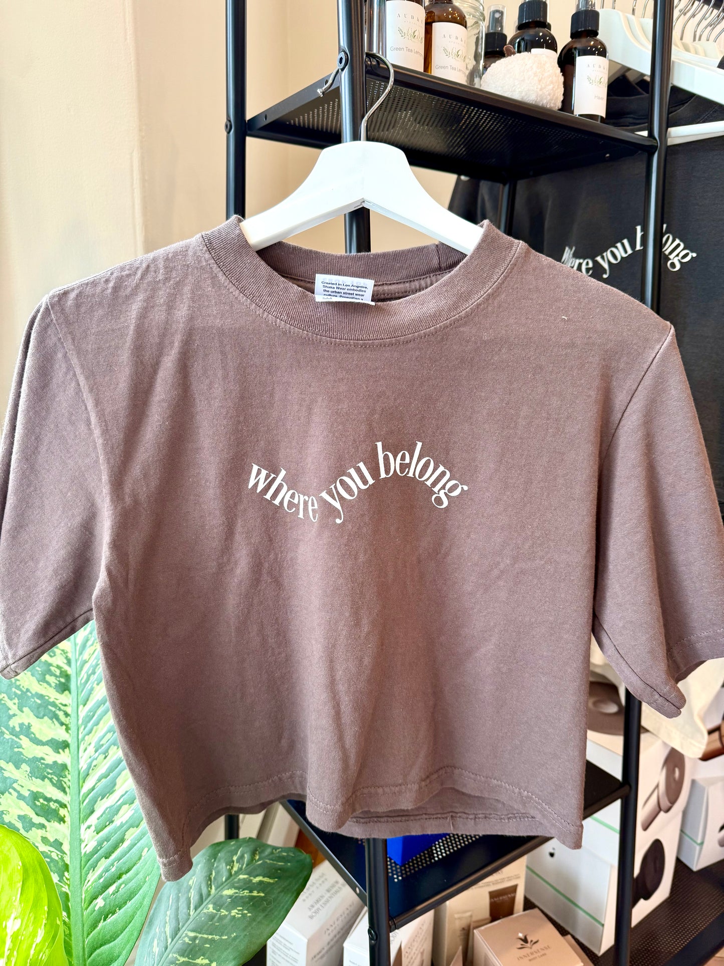 Haven Crop Tee